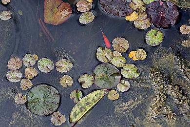 虚幻5重制《塞尔达：时之笛》新演示 画面唯美